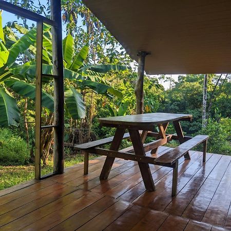 Corcovado Mountain House Hotel Drake Bay Ngoại thất bức ảnh
