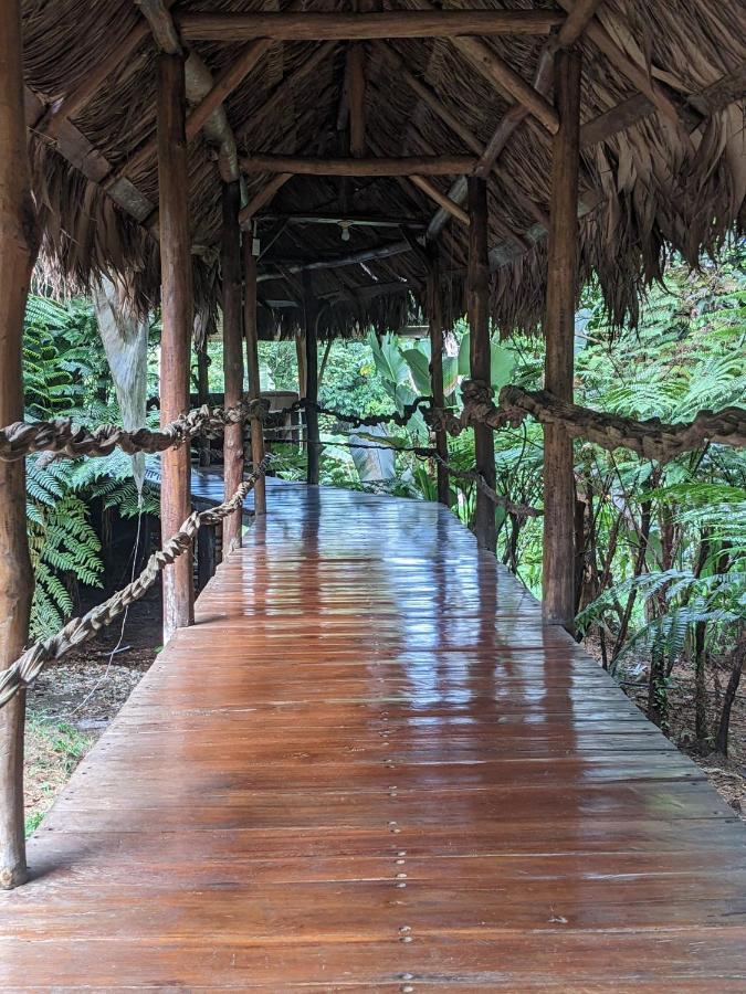 Corcovado Mountain House Hotel Drake Bay Ngoại thất bức ảnh