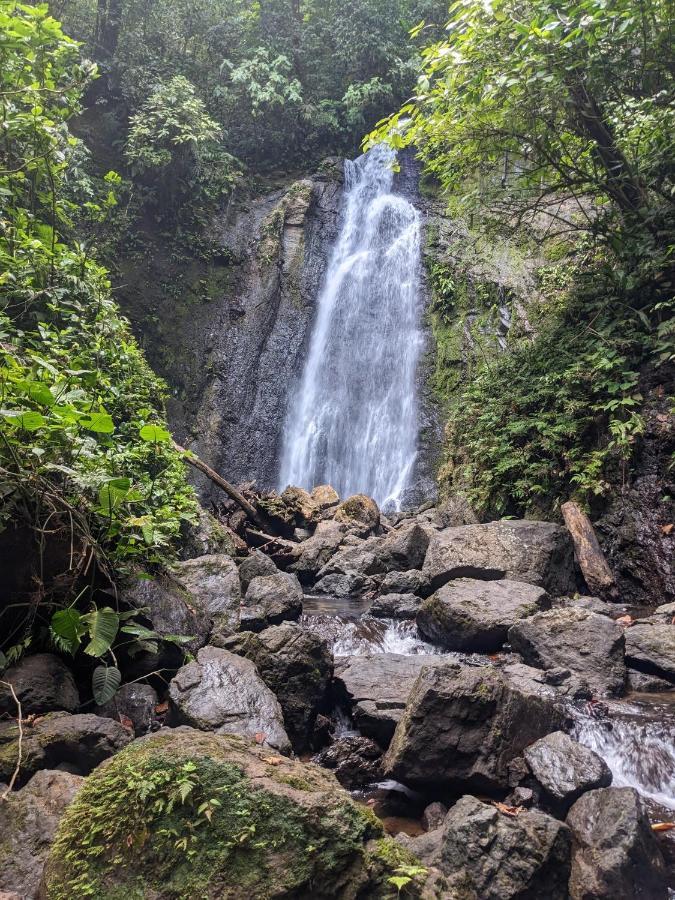 Corcovado Mountain House Hotel Drake Bay Ngoại thất bức ảnh